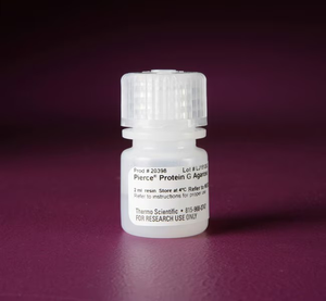 Thermo Scientific™ Pierce™ Protein G Agarose