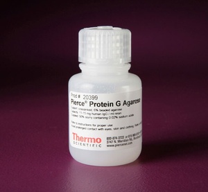 Thermo Scientific™ Pierce™ Protein G Agarose