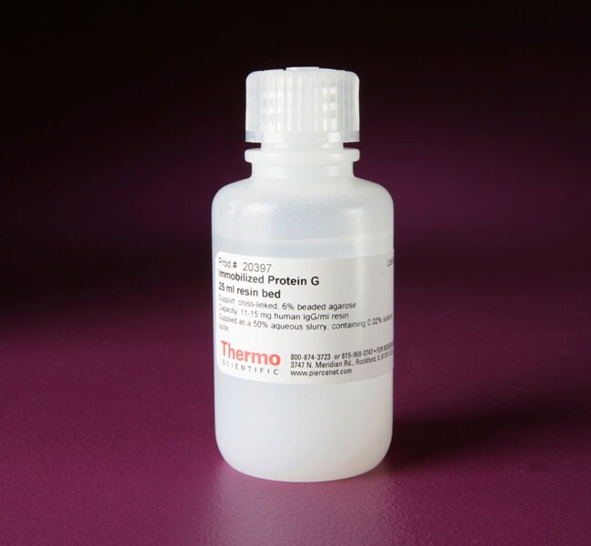 Thermo Scientific™ Pierce™ Protein G Agarose
