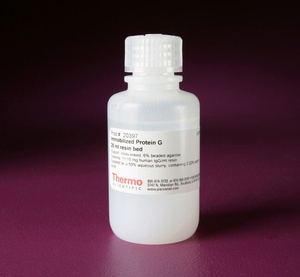 Thermo Scientific™ Pierce™ Protein G Agarose