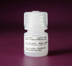 Thermo Scientific™ Pierce™ Protein G Plus Agarose