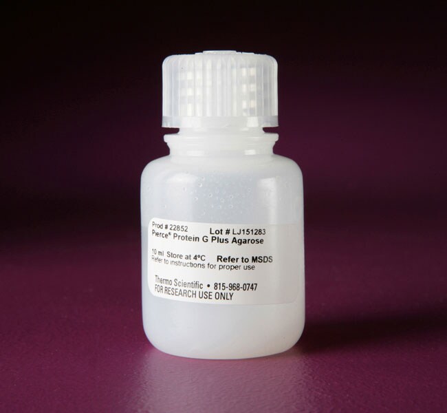 Thermo Scientific™ Pierce™ Protein G Plus Agarose