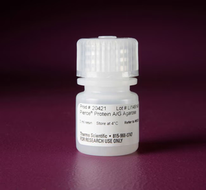 Thermo Scientific™ Pierce™ Protein A/G Agarose