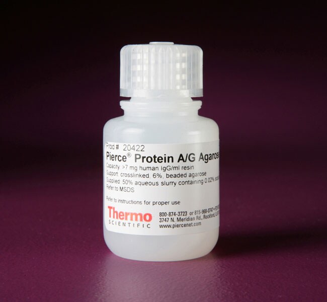 Thermo Scientific™ Pierce™ Protein A/G Agarose