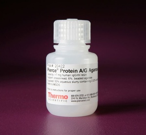 Thermo Scientific™ Pierce™ Protein A/G Agarose