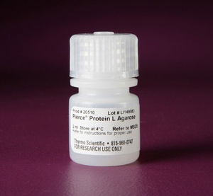 Thermo Scientific™ Pierce™ Protein L Agarose