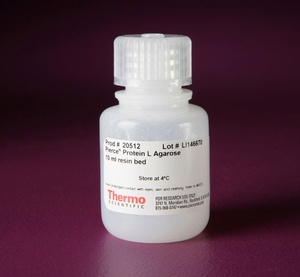 Thermo Scientific™ Pierce™ Protein L Agarose