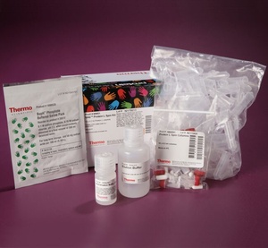Thermo Scientific™ NAb™ Protein L Spin Kit, 0.2 mL, 10 columns kit