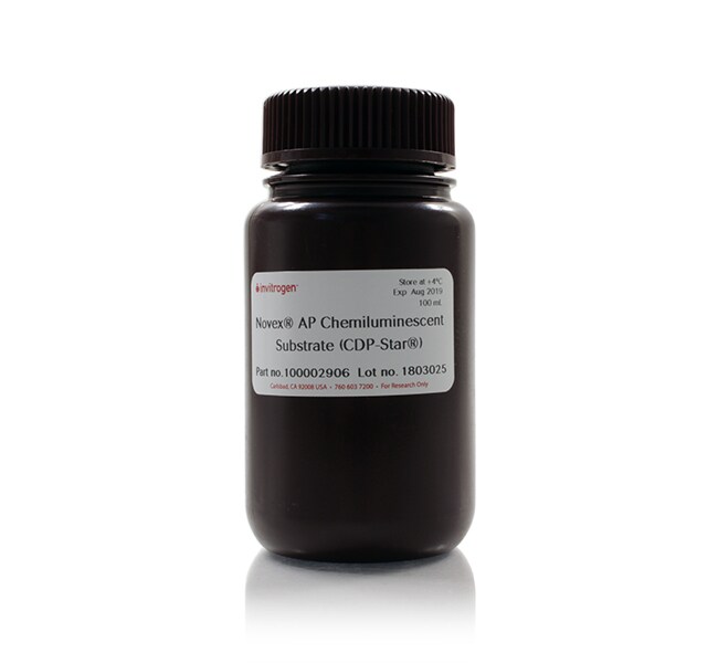 Invitrogen™ Novex™ AP Chemiluminescent Substrate (CDP-Star™), 100 mL