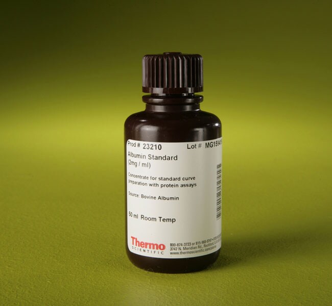 Thermo Scientific™ Pierce™ Bovine Serum Albumin Standard, 2 mg/mL, 50 mL