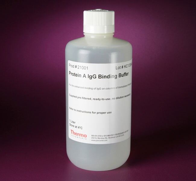 Thermo Scientific™ Pierce™ Protein A IgG Binding Buffer, pH 8.0; contains EDTA as a preservative   