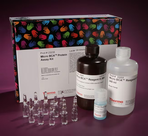 Thermo Scientific™ Micro BCA™ Protein Assay Kit