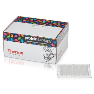 Thermo Scientific™ Pierce™ 96-Well Polystyrene Plates, Corner Notch, Flat bottom, 360 μL 