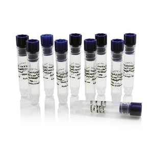 Thermo Scientific™ EZ-Link™ Sulfo NHS-LC-LC-Biotin, No-Weigh™ Format