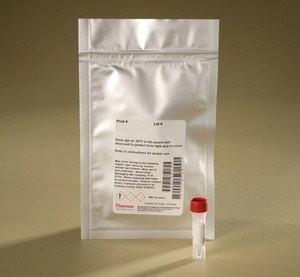 Thermo Scientific™ DyLight™ 488 NHS Ester