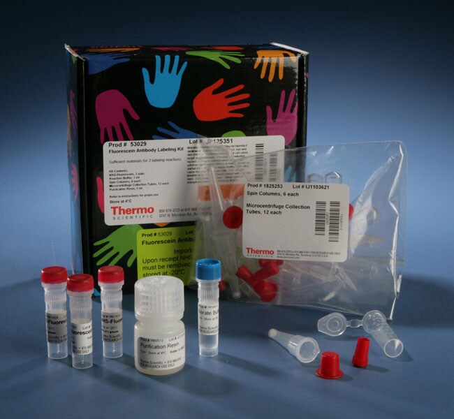 Thermo Scientific™ DyLight™ Antibody Labelling Kit