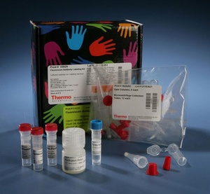 Thermo Scientific™ DyLight™ Antibody Labelling Kit