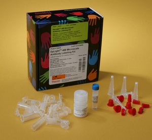 Thermo Scientific™ DyLight™ Microscale Antibody Labeling Kit