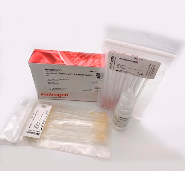 Invitrogen™ LIVE/DEAD™ BacLight™ Bacterial Viability Kit