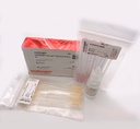 Invitrogen™ LIVE/DEAD™ BacLight™ Bacterial Viability Kit