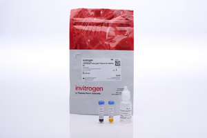 Invitrogen™ LIVE/DEAD™ BacLight™ Bacterial Viability Kit