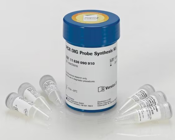 PCR DIG Probe Synthesis Kit (25 Reactions, 50 μL Final Volume)