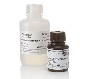 Invitrogen™ eBioscience™ Foxp3 / Transcription Factor Fixation/Permeabilization Concentrate and Diluent