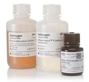 Invitrogen™ eBioscience™ Foxp3 / Transcription Factor Staining Buffer Set 