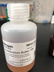 Invitrogen™ eBioscience™ Permeabilization Buffer (10X), 100 mL