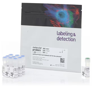 Invitrogen™ CellTrace™ Violet Cell Proliferation Kit, for flow cytometry