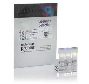 Invitrogen™ LIVE/DEAD™ Fixable Aqua Dead Cell Stain Kit, for 405 nm excitation