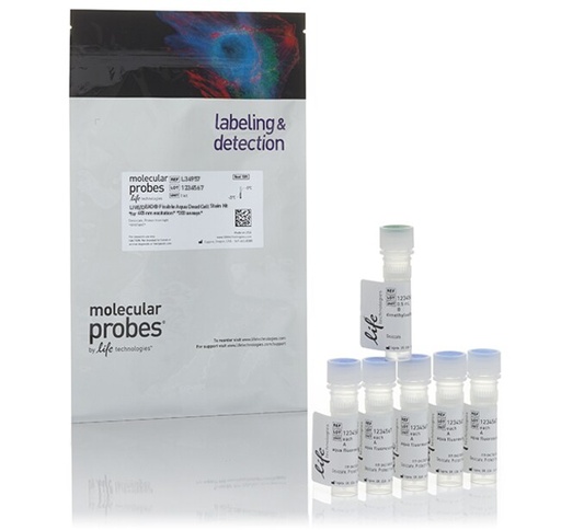 [L34957] Invitrogen™ LIVE/DEAD™ Fixable Aqua Dead Cell Stain Kit, for 405 nm excitation (for 200 Assays)