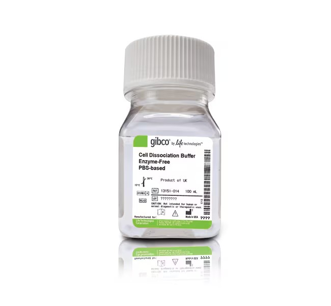 Gibco™ Cell Dissociation Buffer, enzyme-free, PBS, 100 mL
