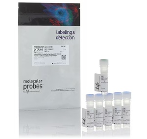 Invitrogen™ LIVE/DEAD™ Fixable Far Red Dead Cell Stain Kit, for 633 or 635 nm excitation