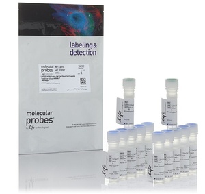 Invitrogen™ LIVE/DEAD™ Fixable Far Red Dead Cell Stain Kit, for 633 or 635 nm excitation