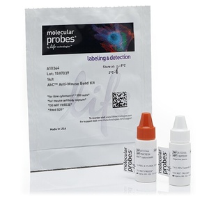 Invitrogen™ AbC™ Anti-Mouse Bead Kit 