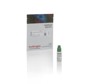 Invitrogen™ BrightComp eBeads™ Compensation Bead Kit, 25 Tests 
