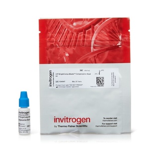 Invitrogen™ BrightComp eBeads™ Compensation Bead Kit, 25 Tests 