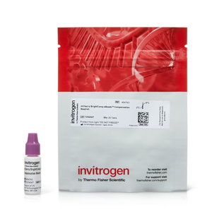 Invitrogen™ BrightComp eBeads™ Compensation Bead Kit, 25 Tests 
