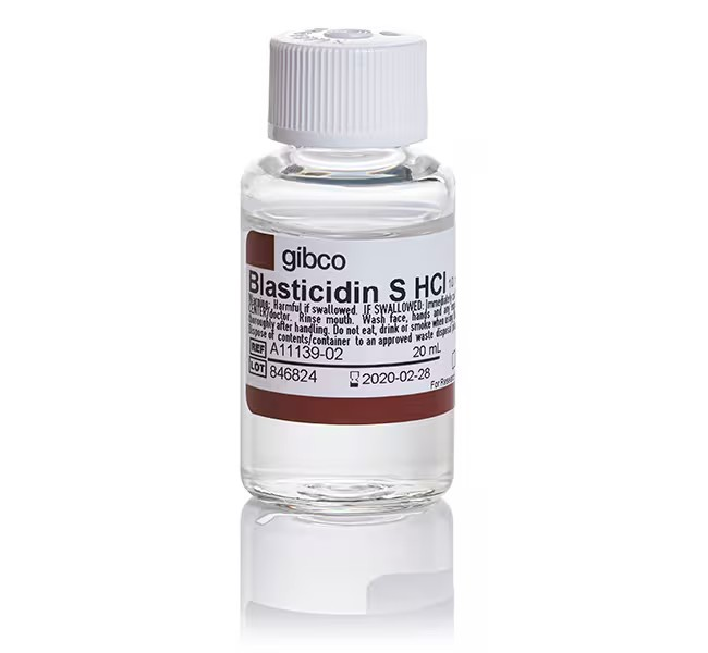 Gibco™ Blasticidin S HCl (10 mg/mL)