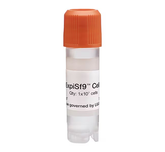 Gibco™ ExpiSf9™ Cells, 1.0 x 107 cells/mL