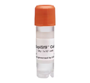 Gibco™ ExpiSf9™ Cells, 1.0 x 107 cells/mL