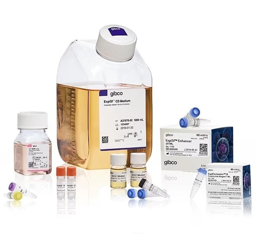 [A38841] Gibco™ ExpiSf™ Expression System Starter Kit with  Erlenmeyer Flasks