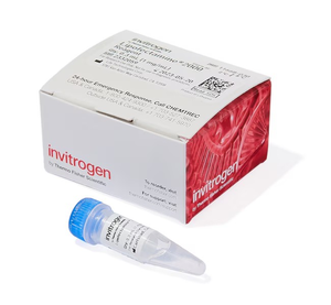 Invitrogen™ Lipofectamine™ 2000 Transfection Reagent