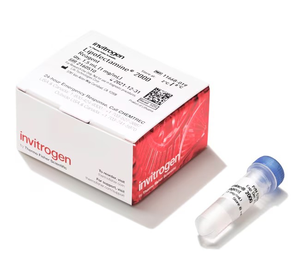 Invitrogen™ Lipofectamine™ 2000 Transfection Reagent