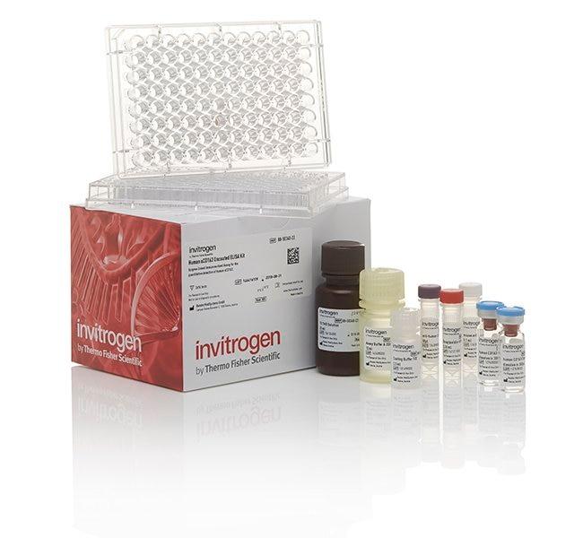 Invitrogen™ Mouse IgG (Total) Uncoated ELISA Kit with Plates