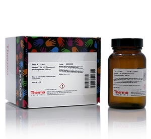 Thermo Scientific™ Blocker™ FL Fluorescent Blocking Buffer (10X), 100 mL