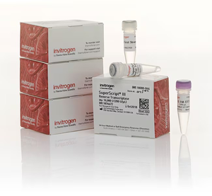 Invitrogen™ SuperScript™ III Reverse Transcriptase
