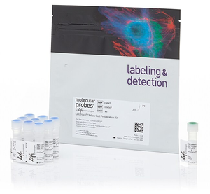 Invitrogen™ CellTrace™ Yellow Cell Proliferation Kit, for flow cytometry