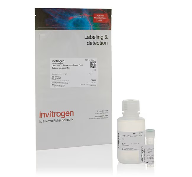 Invitrogen™ CellEvent™ Senescence Green Flow Cytometry Assay Kit
